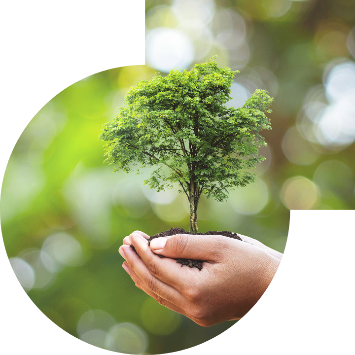 关怀人类、文化、环境与社会